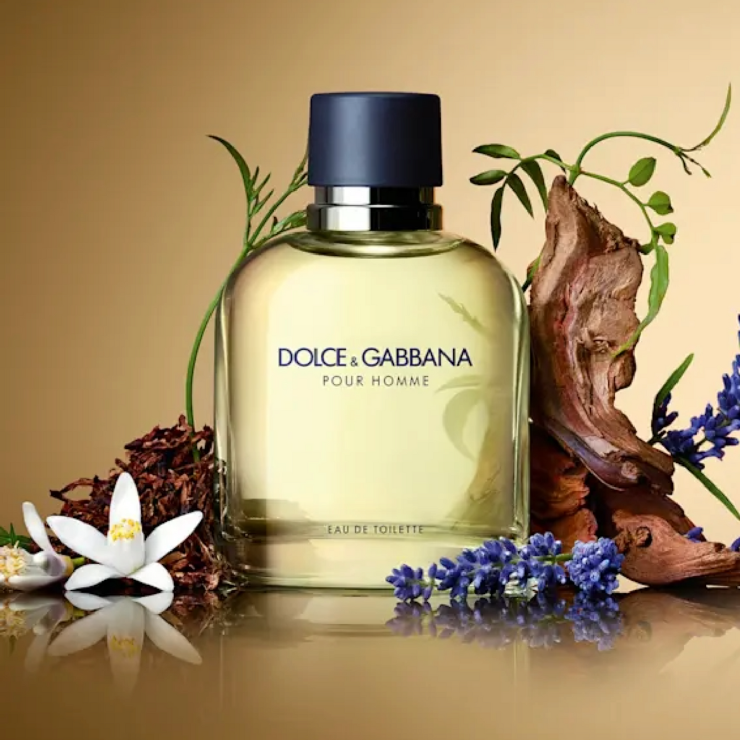 Dolce & Gabbana Pour Homme Eau De Toilette 75ml
